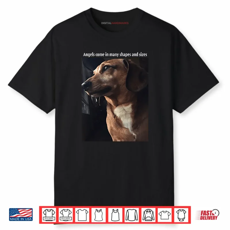 Angels Come In Many Shapes And Sizes Frankie Shirt