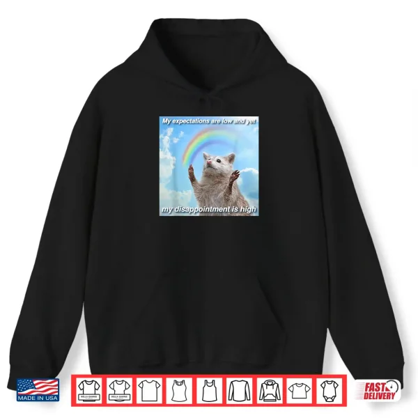Hoodie My Expectations are Low and Yet My Disappointment is High Shirt