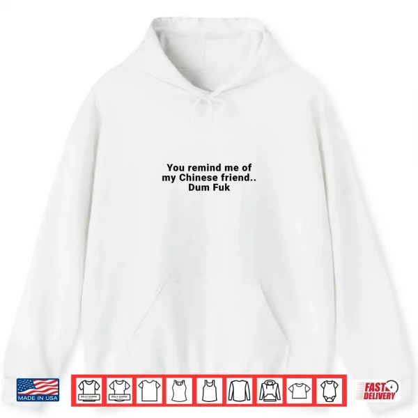 Hoodie You Remind Me of My Chinese Friend Dum Fuk Shirt