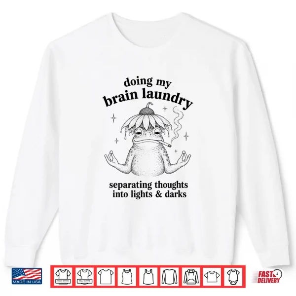 Sweatshirt Funny Mental Health Humor Retro Frog Doing My Brain Laundry Shirt