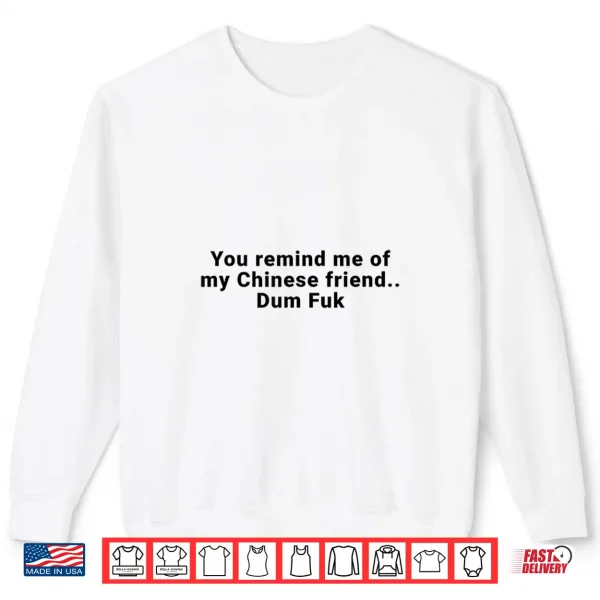 Sweatshirt You Remind Me of My Chinese Friend Dum Fuk Shirt