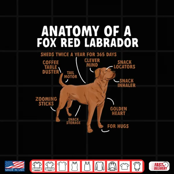 Design Anatomy Of A Fox Red Labrador Retriever Foxred Lab Shirt