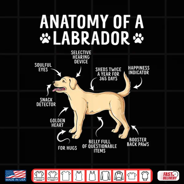 Design Anatomy Of A Labrador Retriever Funny Lab Dog Lover Shirt