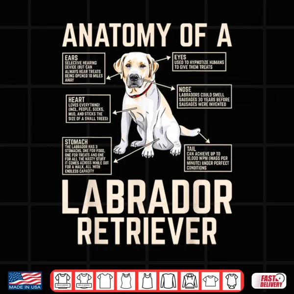 Design Anatomy Of A Labrador Retriever Shirt