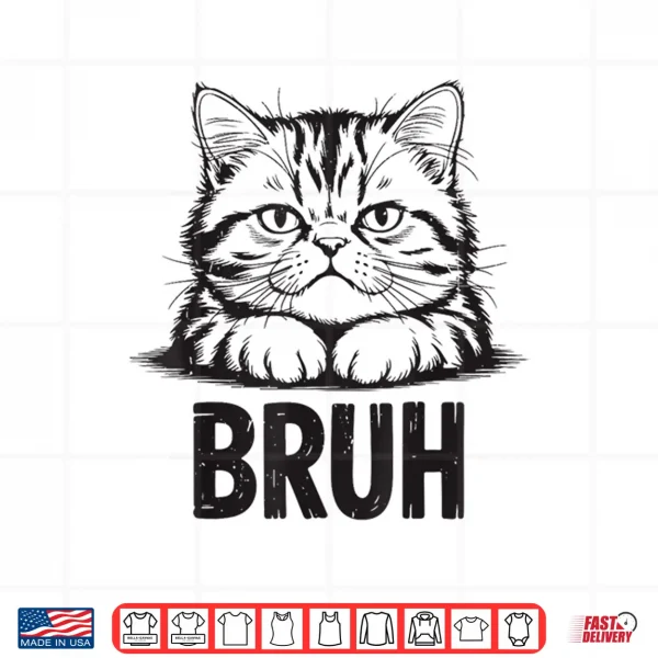 Design Bruh Funny Meme Persian CaShirt Teen Boy Girl Mom Dad Men Shirt