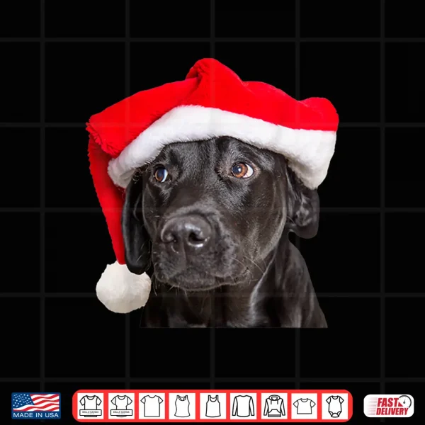 Design Cute Black Lab Santa Hat Christmas Dog Labrador Retriever Shirt