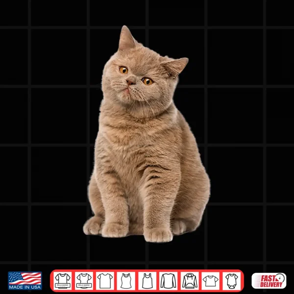Design Cute British shorthair cat for lover cats kitty kitten Shirt