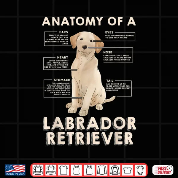 Design Funny Anatomy of a Labrador Retriever Gift Ideas for Shirt