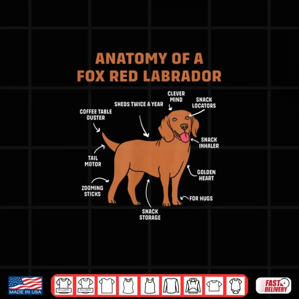 Design Funny Fox Red Lab Dog Lover Anatomy Of Fox Red Labrador Men Women Kids Shirt