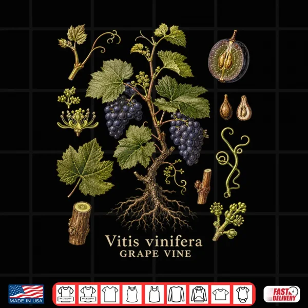 Design Grape Vine Botanical Anatomy Vintage Nature Study Art Shirt