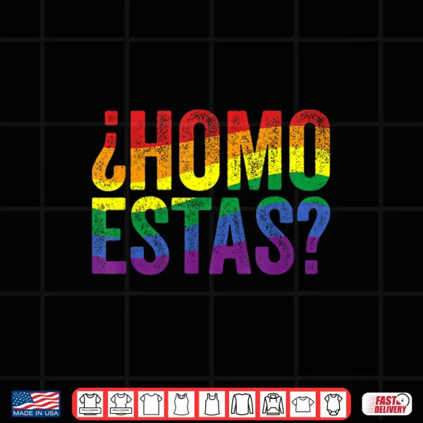 Design Homo Estas Funny Gay Pride Month LGBTQ Rainbow Flag Shirt