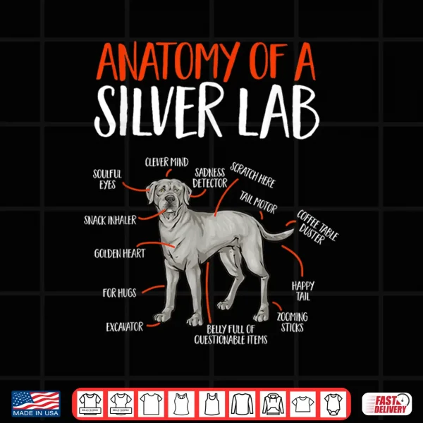 Design Silver Labrador Retriever Anatomy Of A Silver Lab Shirt