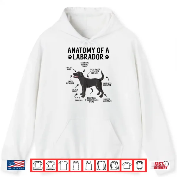 Hoodie Anatomy Of A Labrador Retriever Funny Black Labrador Dog Shirt