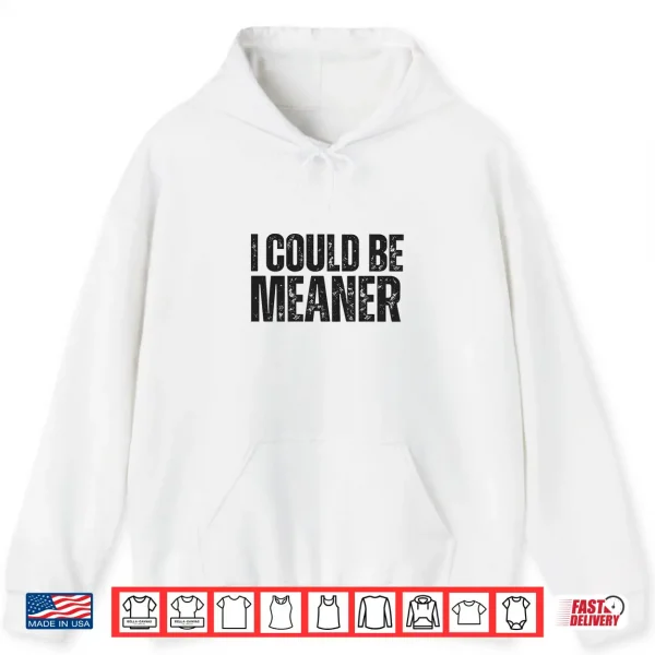 Hoodie I Could Be Meaner Funny Sarcastic Shirt