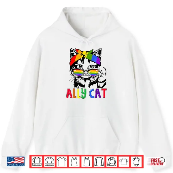 Hoodie LGBT Ally Cat Be Kind Gay Rainbow Funny LGBTQ Gift Idea Shirt