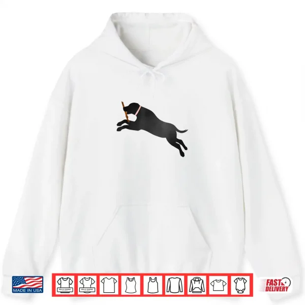 Hoodie Labrador Retriever Fetch Play Ball Black Lab Dog Lover Gift Shirt