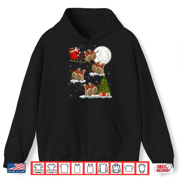 Hoodie Xmas Lighting Tree Santa Riding Persian Cat Christmas Shirt