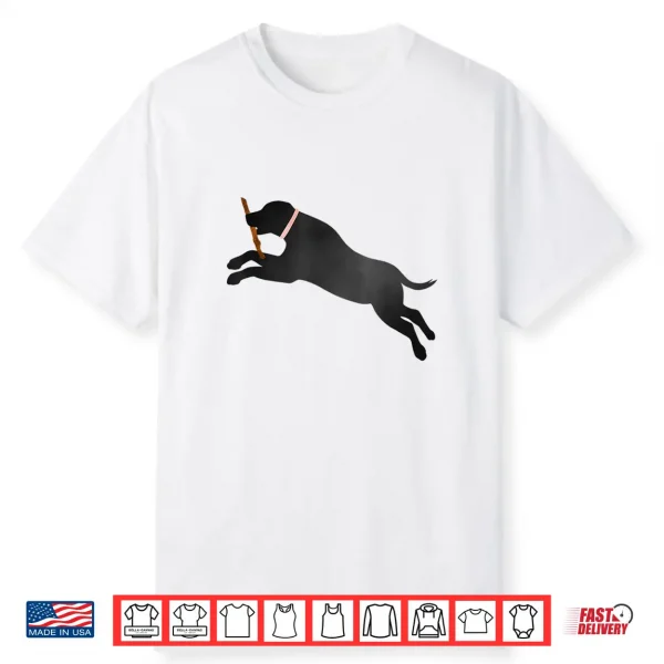 Labrador Retriever Fetch Play Ball Black Lab Dog Lover Gift Shirt