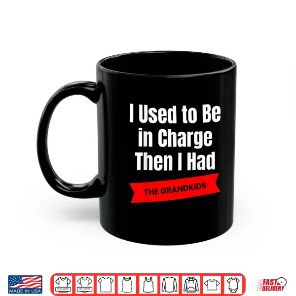I Used To Be In Charge Then I Had A The Grandkids Comedy Shirt 3 Mug I Used to Be in Charge Then I Had a The Grandkids Comedy Shirt