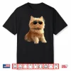 Persian Cat Persian Longhair Cat Mom Cute Persian Cats Shirt