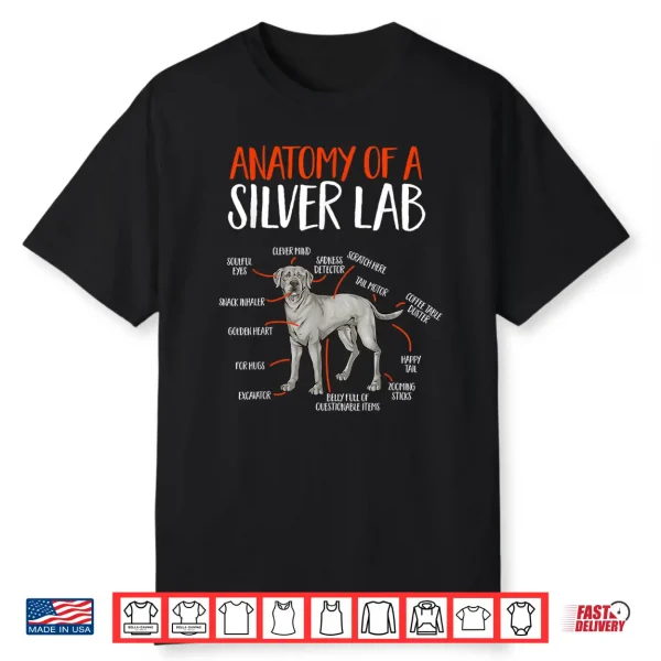 Silver Labrador Retriever Anatomy Of A Silver Lab Shirt