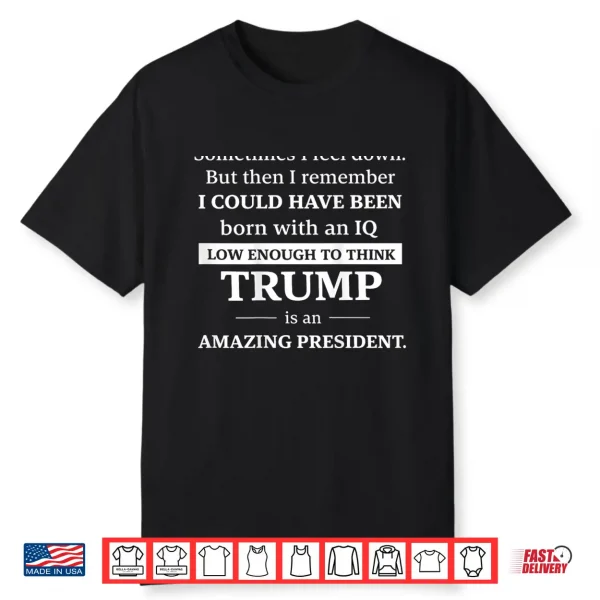Sometimes I Feel Down But Then I Remember I Could Shirt