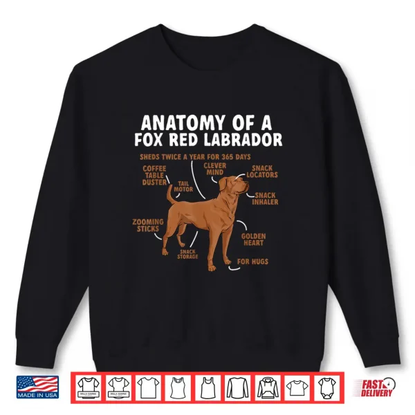 Sweatshirt Anatomy Of A Fox Red Labrador Retriever Foxred Lab Shirt