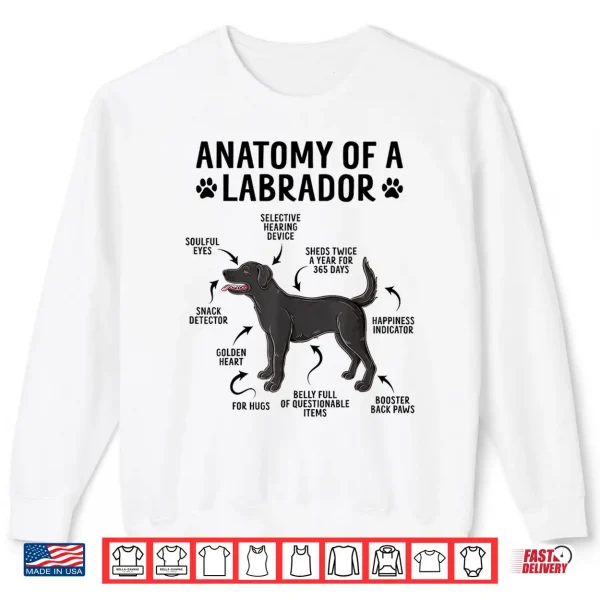 Sweatshirt Anatomy Of A Labrador Retriever Funny Black Labrador Dog Shirt