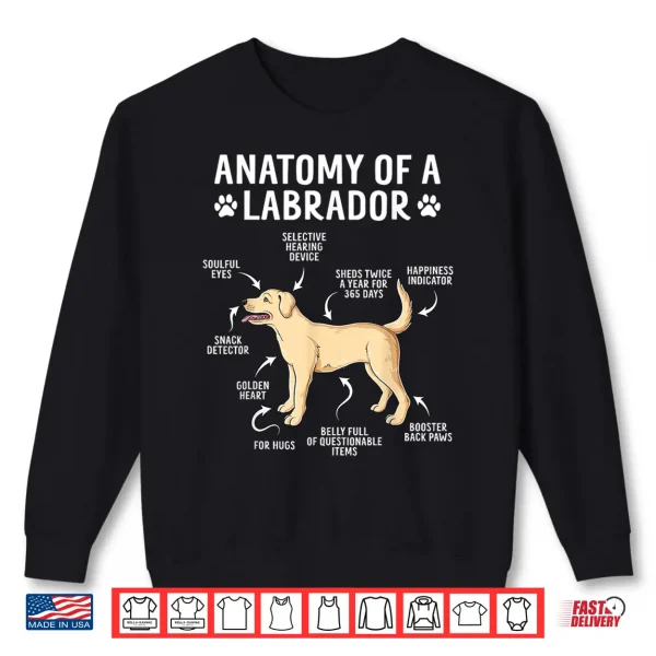 Sweatshirt Anatomy Of A Labrador Retriever Funny Lab Dog Lover Shirt
