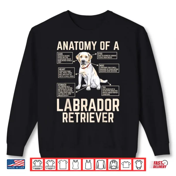 Sweatshirt Anatomy Of A Labrador Retriever Shirt