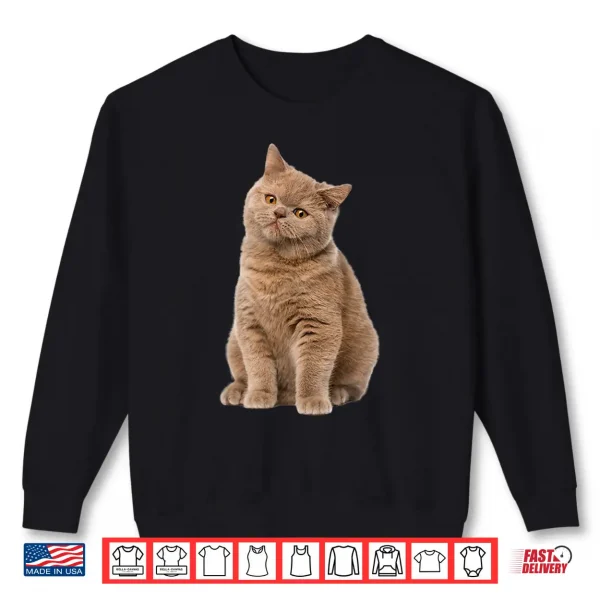 Sweatshirt Cute British shorthair cat for lover cats kitty kitten Shirt