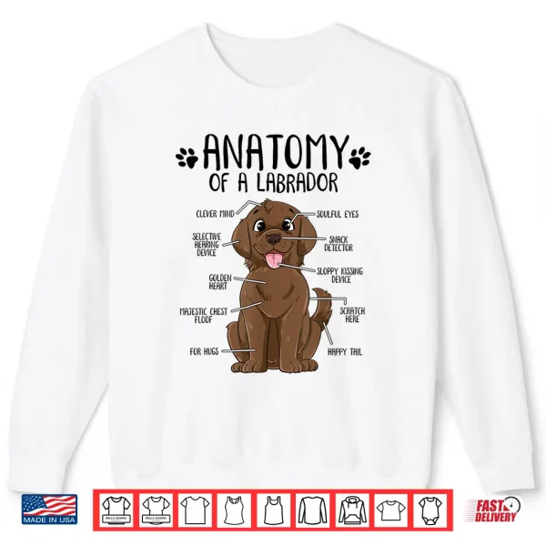 Sweatshirt Funny Anatomy Labrador Retriever Chocolate Lab Dog Owner Shirt