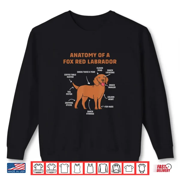 Sweatshirt Funny Fox Red Lab Dog Lover Anatomy Of Fox Red Labrador Men Women Kids Shirt