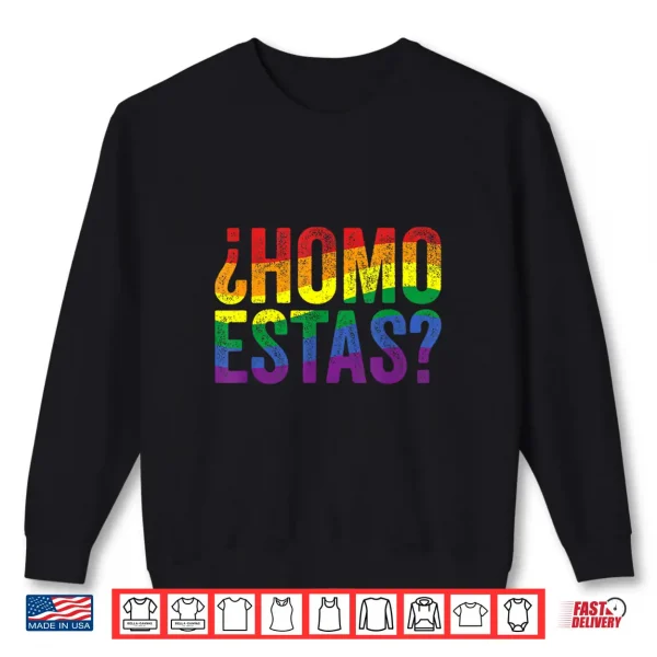 Sweatshirt Homo Estas Funny Gay Pride Month LGBTQ Rainbow Flag Shirt