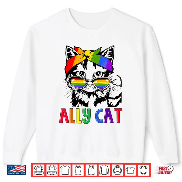 Sweatshirt LGBT Ally Cat Be Kind Gay Rainbow Funny LGBTQ Gift Idea Shirt