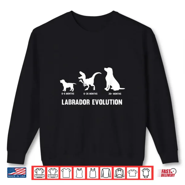 Sweatshirt Labrador Retriever Evolution Design Labrador Owner Shirt