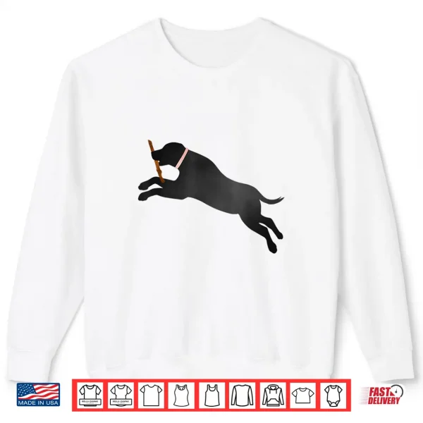 Sweatshirt Labrador Retriever Fetch Play Ball Black Lab Dog Lover Gift Shirt