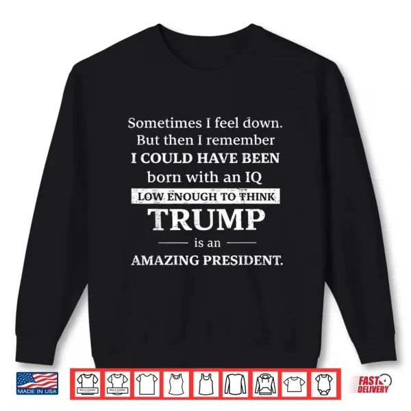 Sweatshirt Retro Political Sometimes I Feel Down But Then I Remember Shirt