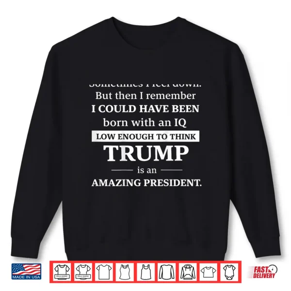 Sweatshirt Sometimes I Feel Down But Then I Remember I Could Shirt