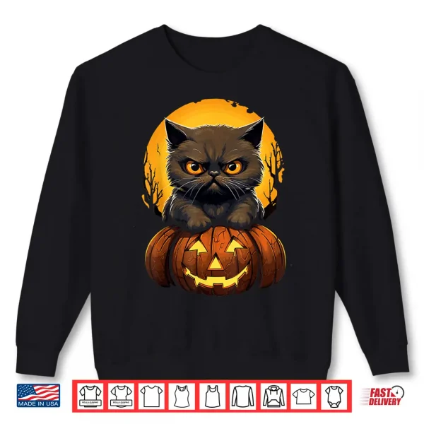 Sweatshirt Spooky Funny Halloween Exotic Shorthair Cat Pumpkin Shirt