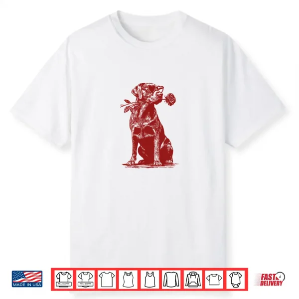 Valentine Labrador Retriever Dog With Heart Sunglasses Rose Shirt