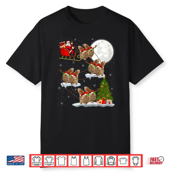 Xmas Lighting Tree Santa Riding Persian Cat Christmas Shirt