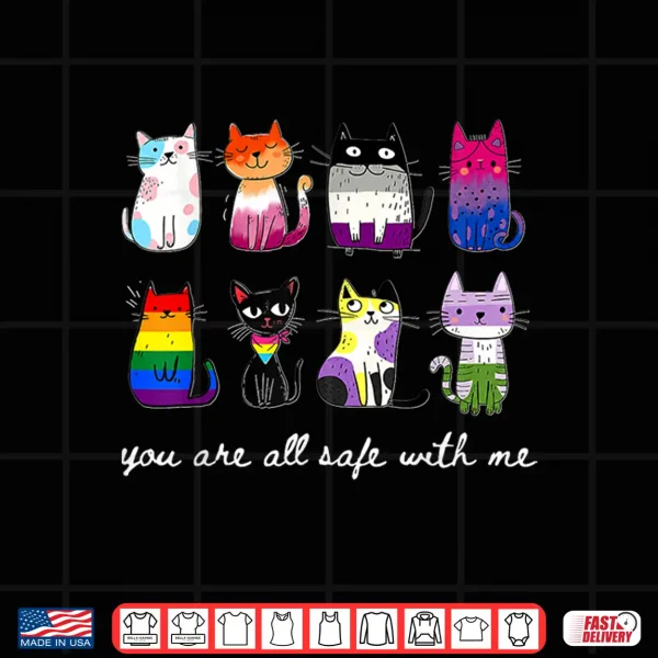 Design You are All Safe with Me Cute Cat Pride Month LGBT Support Shirt