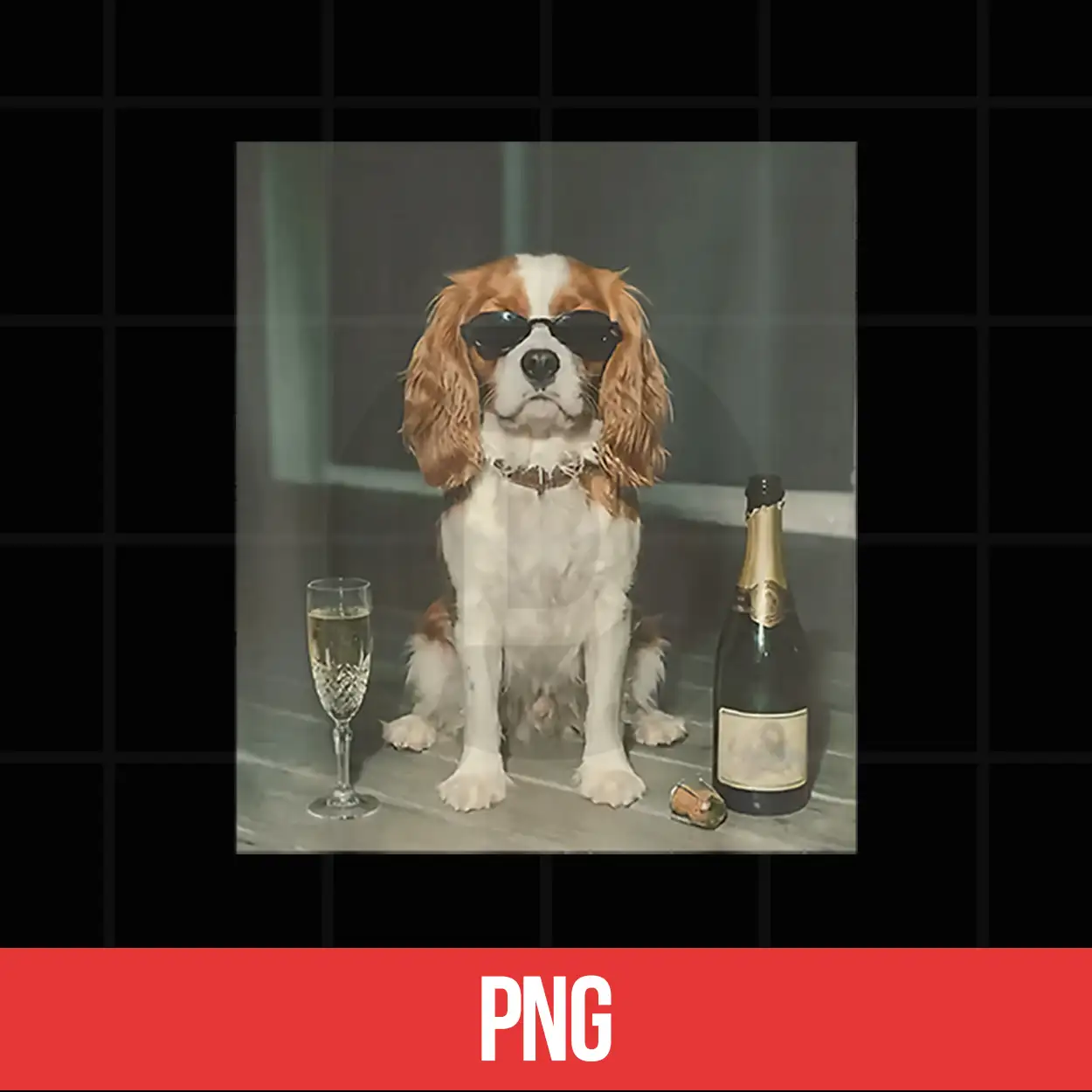 Cavalier King Charles Drinking Champagne Shirt Cavalier King Charles Drinking Champagne Shirt