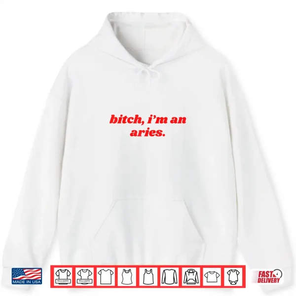 Hoodie Bitch Im An Aries Funny Horoscope Slogan Attitude Statement Shirt